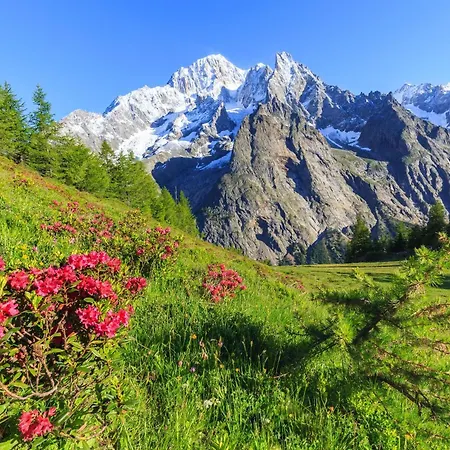 Cozy With Garden In - Happy * Courmayeur