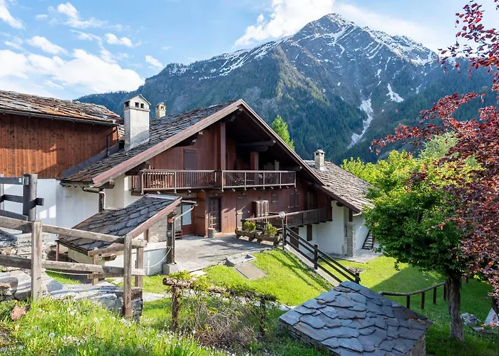 Cozy With Garden In - Happy *